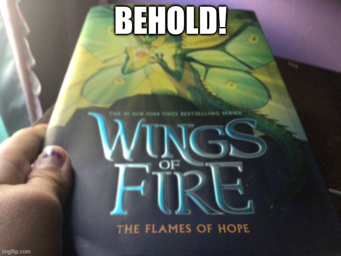 Luna’s book acquired. | BEHOLD! | image tagged in wof,flames,oof,hope | made w/ Imgflip meme maker