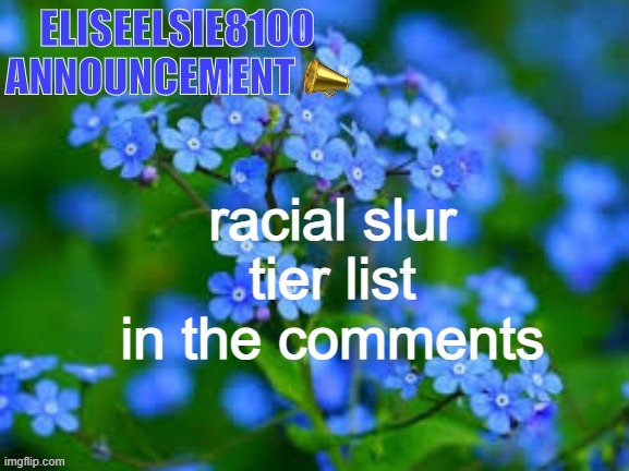 EliseElsie8100 Announcement | racial slur tier list in the comments | image tagged in eliseelsie8100 announcement | made w/ Imgflip meme maker