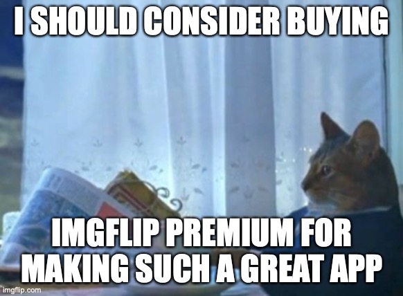 not saying that you should but just consider it a tiny Insee weensie little bit | I SHOULD CONSIDER BUYING; IMGFLIP PREMIUM FOR MAKING SUCH A GREAT APP | image tagged in memes,i should buy a boat cat,imgflip | made w/ Imgflip meme maker