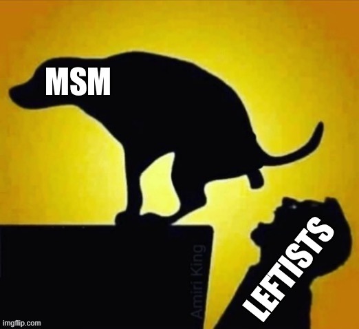 MSM feeding the Leftists | image tagged in msm feeding the leftists | made w/ Imgflip meme maker