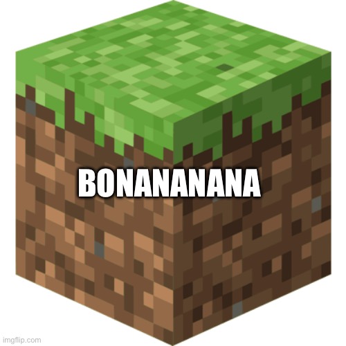 Minecraft block | BONANANANA | image tagged in minecraft block | made w/ Imgflip meme maker