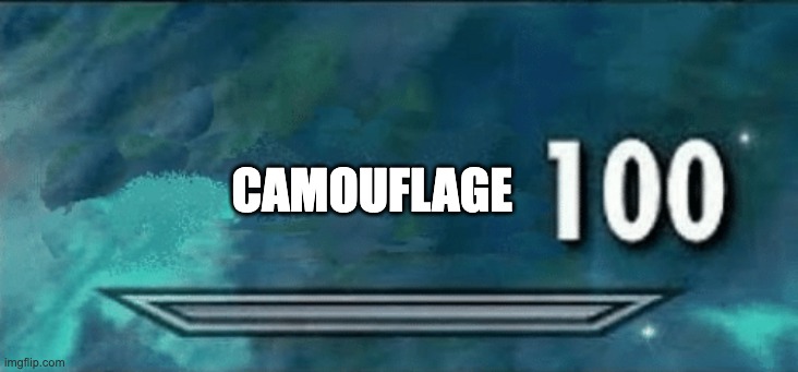 Skyrim skill meme | CAMOUFLAGE | image tagged in skyrim skill meme | made w/ Imgflip meme maker