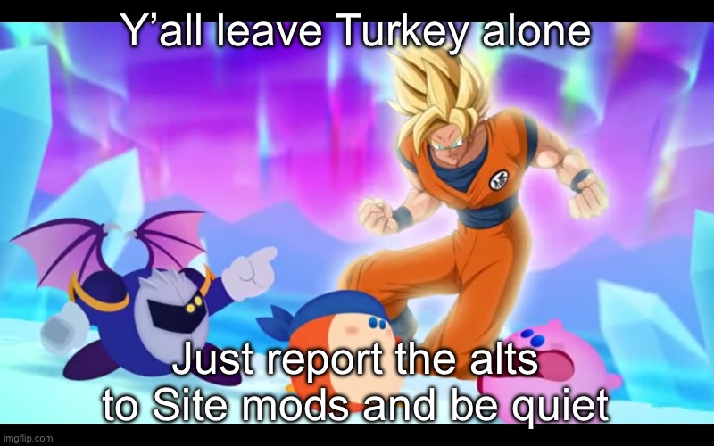 goku real???????? | Y’all leave Turkey alone; Just report the alts to Site mods and be quiet | image tagged in goku real | made w/ Imgflip meme maker