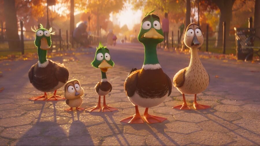 Patos Blank Meme Template