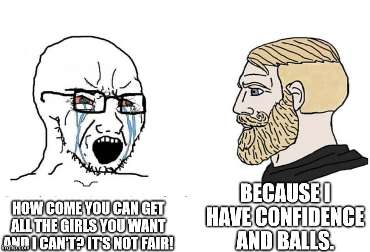 INCELS BE LIKE | BECAUSE I HAVE CONFIDENCE AND BALLS. HOW COME YOU CAN GET ALL THE GIRLS YOU WANT AND I CAN'T? IT'S NOT FAIR! | image tagged in soyboy vs yes chad | made w/ Imgflip meme maker