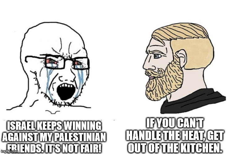 PALESTINIANS VS ISRAELIS | IF YOU CAN'T HANDLE THE HEAT, GET OUT OF THE KITCHEN. ISRAEL KEEPS WINNING AGAINST MY PALESTINIAN FRIENDS. IT'S NOT FAIR! | image tagged in soyboy vs yes chad | made w/ Imgflip meme maker