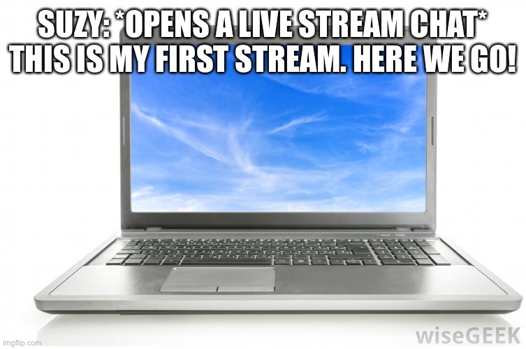 Suzy’s Live stream. | SUZY: *OPENS A LIVE STREAM CHAT* THIS IS MY FIRST STREAM. HERE WE GO! | image tagged in computer | made w/ Imgflip meme maker