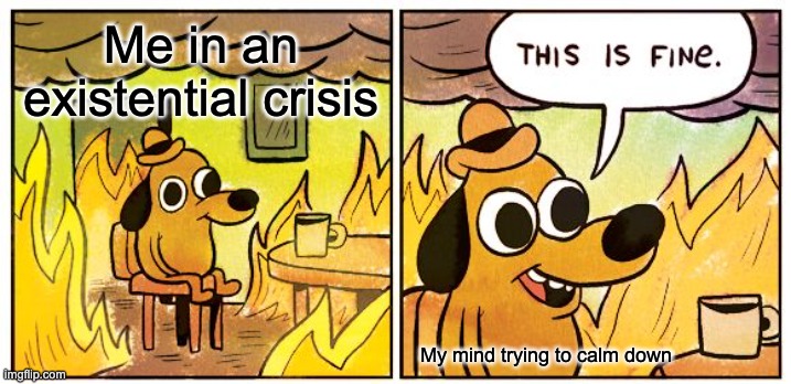 This Is Fine | Me in an existential crisis; My mind trying to calm down | image tagged in memes,this is fine | made w/ Imgflip meme maker