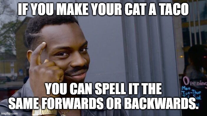 Roll Safe Think About It Meme | IF YOU MAKE YOUR CAT A TACO YOU CAN SPELL IT THE SAME FORWARDS OR BACKWARDS. | image tagged in memes,roll safe think about it | made w/ Imgflip meme maker