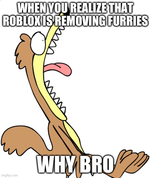 WHY THO | WHEN YOU REALIZE THAT ROBLOX IS REMOVING FURRIES; WHY BRO | made w/ Imgflip meme maker