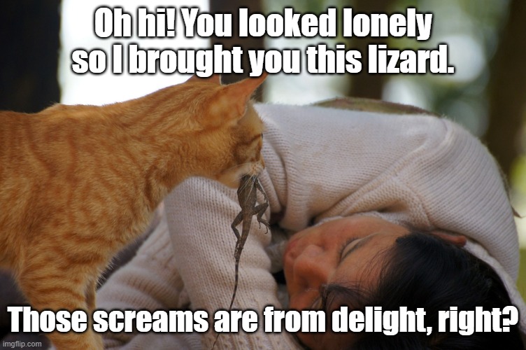 Oh hi! You looked lonely so I brought you this lizard. Those screams are from delight, right? | made w/ Imgflip meme maker