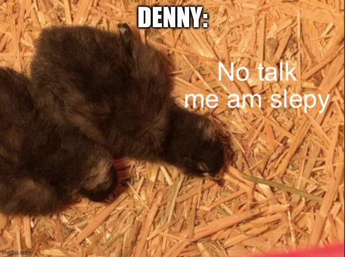 Chick no talk me am slepy | DENNY: | image tagged in chick no talk me am slepy | made w/ Imgflip meme maker