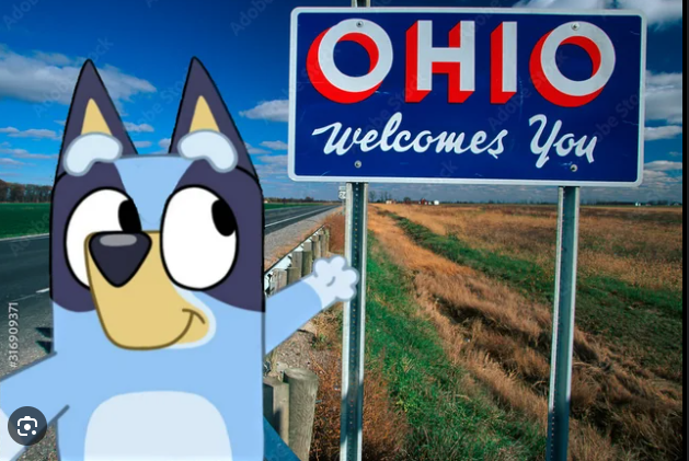 High Quality bluey ohio meme Blank Meme Template