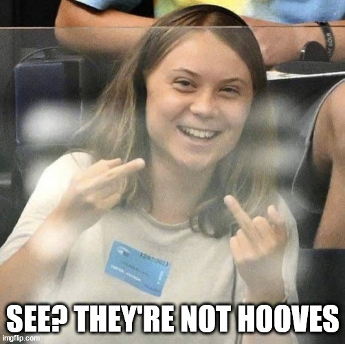 Dispelling The Rumor | SEE? THEY'RE NOT HOOVES | image tagged in greta thunberg | made w/ Imgflip meme maker