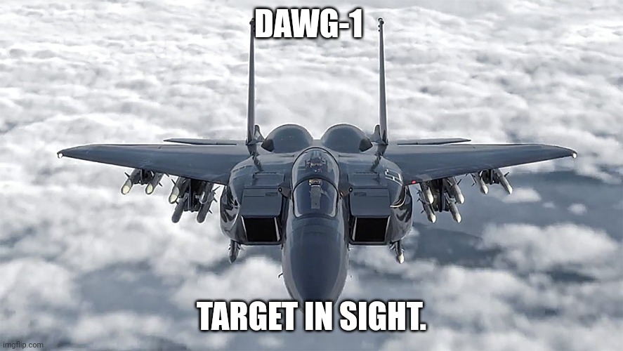 F-15 | DAWG-1 TARGET IN SIGHT. | image tagged in f-15 | made w/ Imgflip meme maker