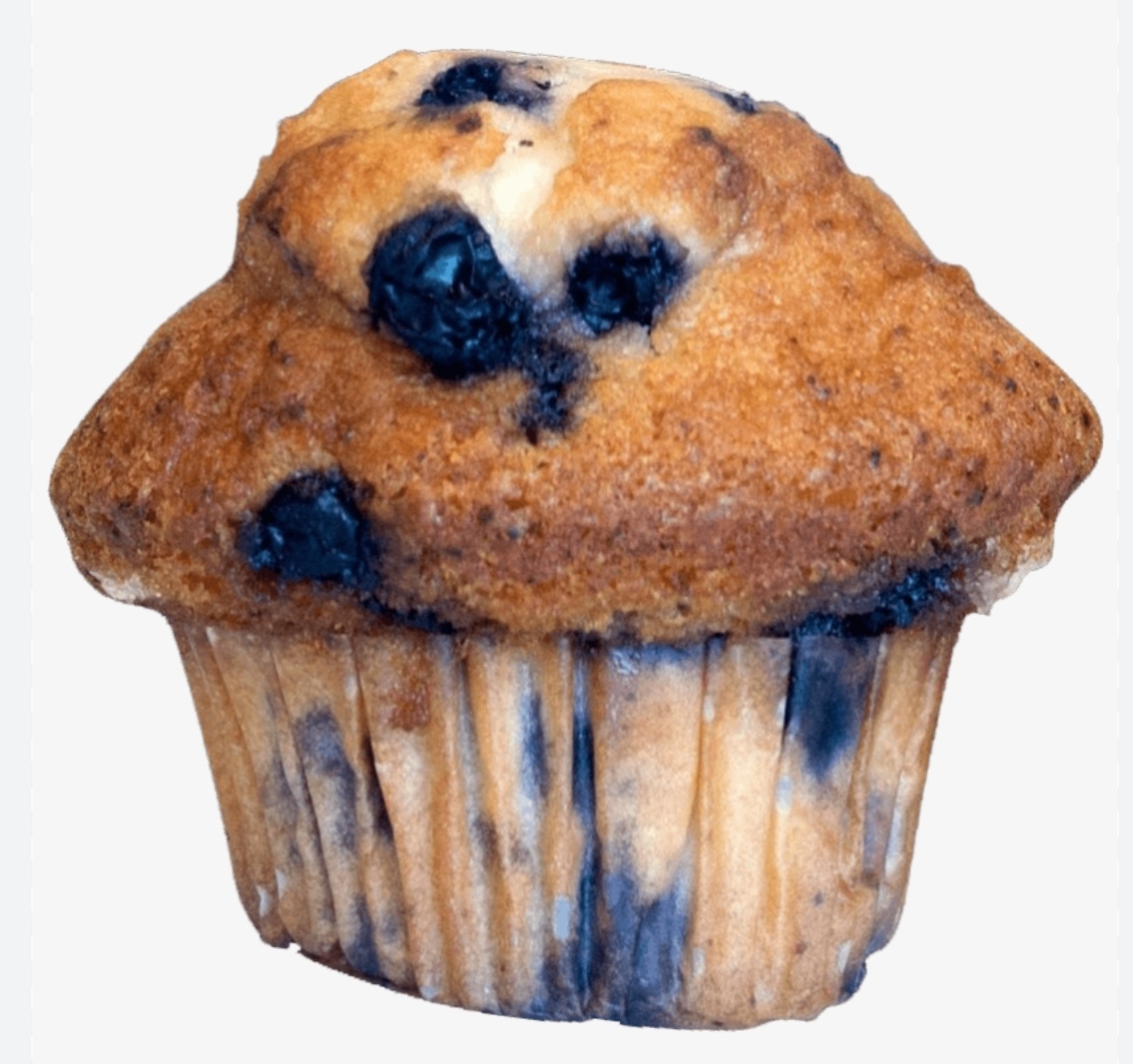 Blueberry Muffin Blank Meme Template