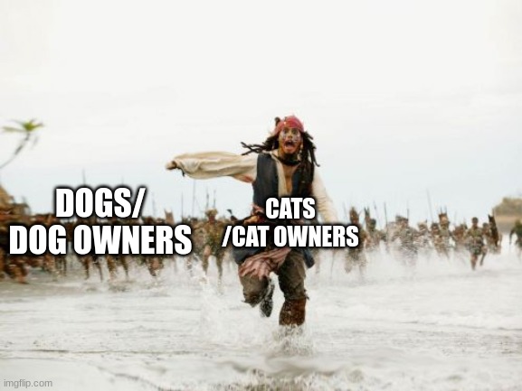 is this true or am I the only one | CATS /CAT OWNERS; DOGS/ DOG OWNERS | image tagged in memes,jack sparrow being chased | made w/ Imgflip meme maker