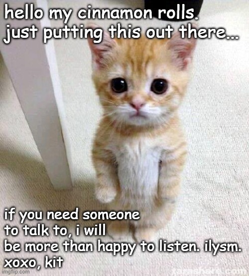 i mean it guys. and i'm on here way more than i should be, so if you ever need me you are more than welcome to message me :) | hello my cinnamon rolls. just putting this out there... if you need someone to talk to, i will be more than happy to listen. ilysm.
xoxo, kit | image tagged in memes,cute cat,talk,i love you,cinnamon rolls | made w/ Imgflip meme maker