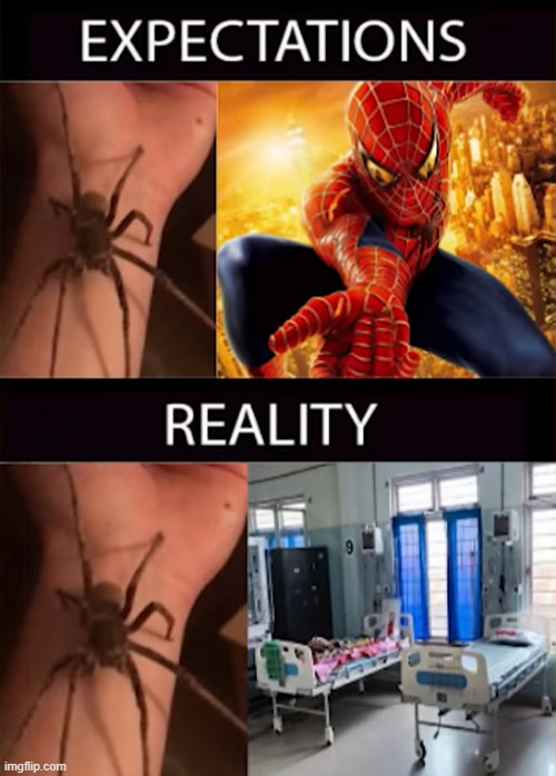 The spider has to be radioactive though | image tagged in spider-man,expectation vs reality | made w/ Imgflip meme maker