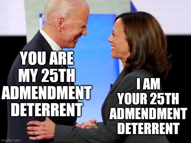 The 25th Admendment | I AM YOUR 25TH ADMENDMENT DETERRENT; YOU ARE MY 25TH ADMENDMENT DETERRENT | image tagged in biden harris,spending,money,to indict,donald trump,again | made w/ Imgflip meme maker