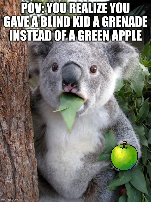 im going to prison | POV: YOU REALIZE YOU GAVE A BLIND KID A GRENADE INSTEAD OF A GREEN APPLE | image tagged in memes,surprised koala | made w/ Imgflip meme maker