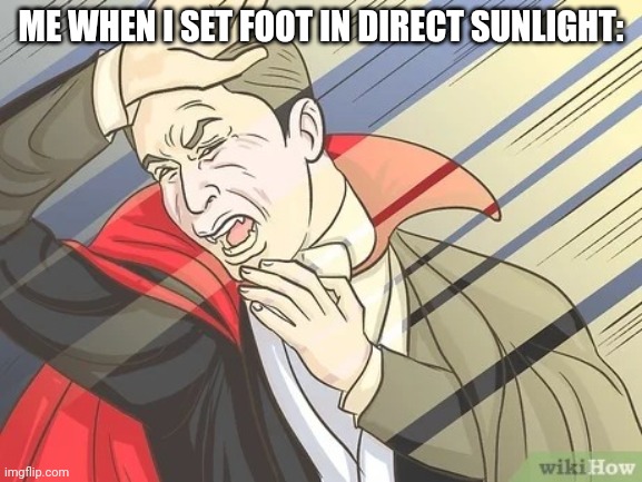 It's true | ME WHEN I SET FOOT IN DIRECT SUNLIGHT: | image tagged in vampire hissing,vampire,ahhhhhhhhhhhhh,sun,ouch,darkness | made w/ Imgflip meme maker