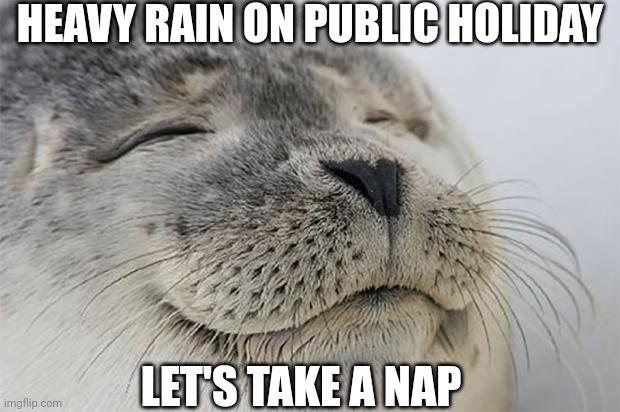 Public holidays and rain | HEAVY RAIN ON PUBLIC HOLIDAY; LET'S TAKE A NAP | image tagged in memes,satisfied seal | made w/ Imgflip meme maker