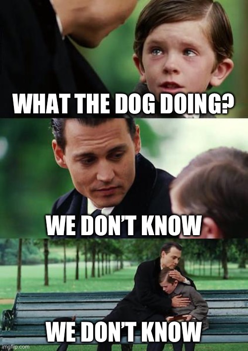 Fun stream meme | WHAT THE DOG DOING? WE DON’T KNOW; WE DON’T KNOW | image tagged in memes,finding neverland | made w/ Imgflip meme maker