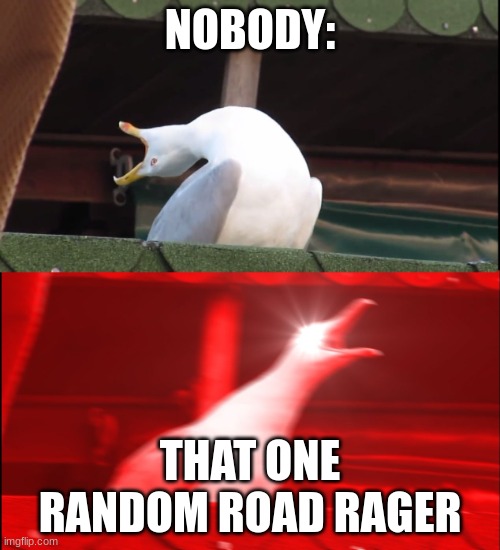 Screaming bird | NOBODY:; THAT ONE RANDOM ROAD RAGER | image tagged in screaming bird | made w/ Imgflip meme maker