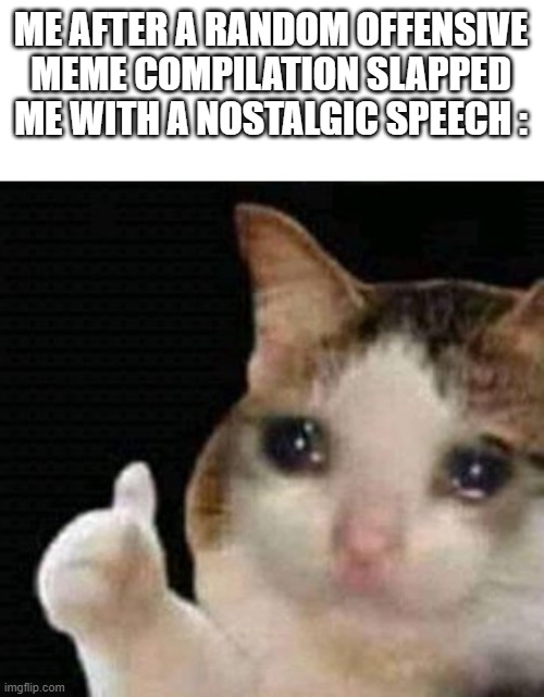 imback | ME AFTER A RANDOM OFFENSIVE MEME COMPILATION SLAPPED ME WITH A NOSTALGIC SPEECH : | image tagged in sad thumbs up cat | made w/ Imgflip meme maker