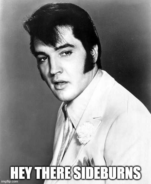 sideburns | HEY THERE SIDEBURNS | image tagged in elvis,elvis presley | made w/ Imgflip meme maker