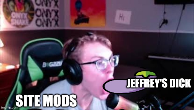 neRd screaming | SITE MODS JEFFREY'S DICK | image tagged in nerd screaming | made w/ Imgflip meme maker