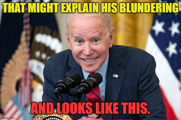 THAT MIGHT EXPLAIN HIS BLUNDERING AND LOOKS LIKE THIS. | made w/ Imgflip meme maker