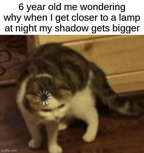 Cat Loading template | 6 year old me wondering why when I get closer to a lamp at night my shadow gets bigger | image tagged in cat loading template,cats,memes,lol,lmao | made w/ Imgflip meme maker