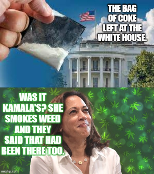 Since They're Lying To Us...Let's Have Some Fun With It (Part 3) | THE BAG OF COKE LEFT AT THE WHITE HOUSE. WAS IT KAMALA'S? SHE SMOKES WEED AND THEY SAID THAT HAD BEEN THERE TOO. | image tagged in memes,politics,cocaine,kamala harris,smoke,marijuana | made w/ Imgflip meme maker