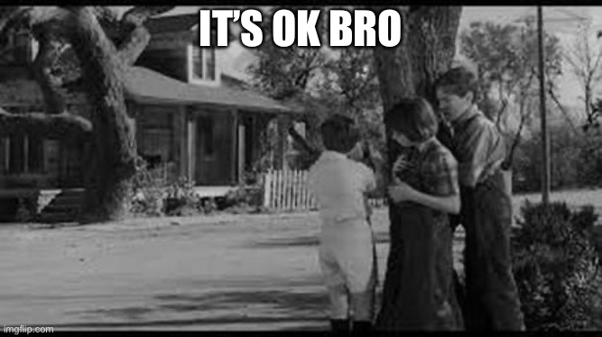 Boo Radley it’s OK bro | IT’S OK BRO | image tagged in boo radley it s ok bro | made w/ Imgflip meme maker