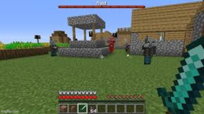 Minecraft Raid | image tagged in minecraft raid | made w/ Imgflip meme maker