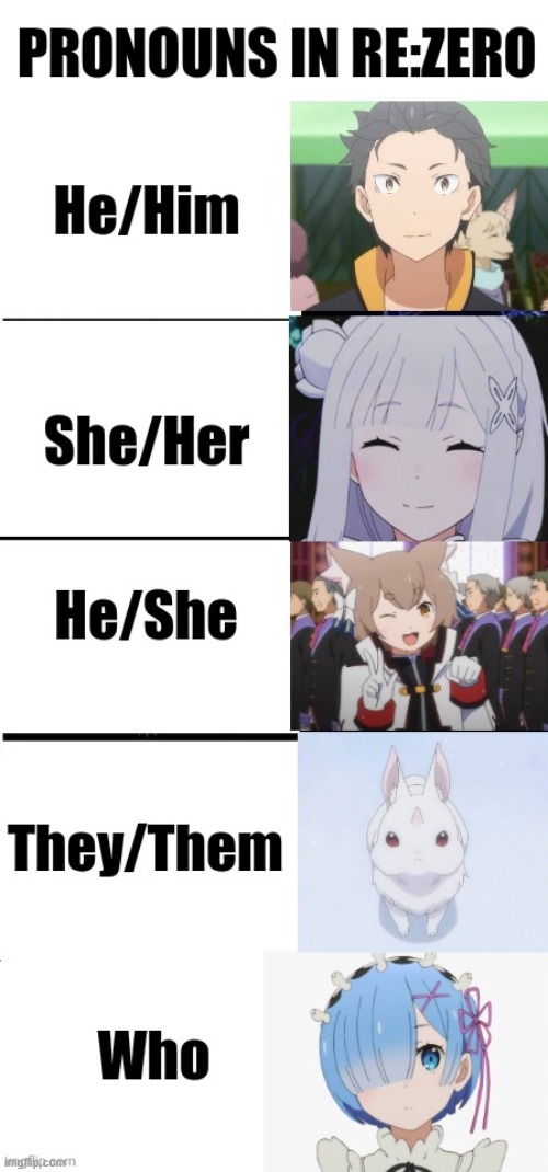 Wokeism | image tagged in anime meme,anime,rezero,pronouns,funny memes | made w/ Imgflip meme maker