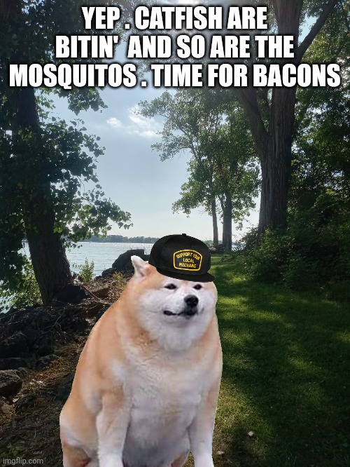 Dog | YEP . CATFISH ARE BITIN'  AND SO ARE THE MOSQUITOS . TIME FOR BACONS | image tagged in outdoors | made w/ Imgflip meme maker
