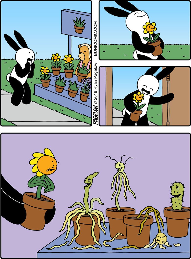 Plant Killing Bunny Blank Meme Template