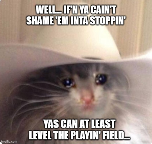 Sad cowboy cat | WELL... IF'N YA CAIN'T SHAME 'EM INTA STOPPIN' YAS CAN AT LEAST LEVEL THE PLAYIN' FIELD... | image tagged in sad cowboy cat | made w/ Imgflip meme maker