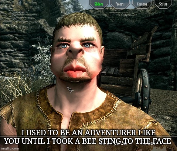 Skyrim memes | I USED TO BE AN ADVENTURER LIKE YOU UNTIL I TOOK A BEE STING TO THE FACE | image tagged in skyrim | made w/ Imgflip meme maker