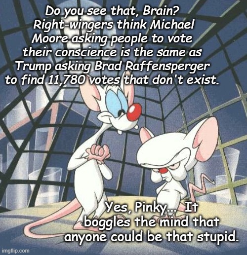 Pinky and the Brain | Do you see that, Brain?  Right-wingers think Michael Moore asking people to vote their conscience is the same as Trump asking Brad Raffenspe | image tagged in pinky and the brain | made w/ Imgflip meme maker