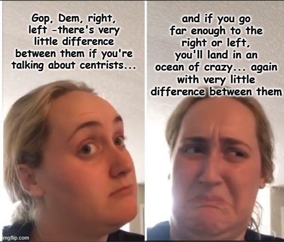 The reality of the political spectrum. | Gop, Dem, right, left -there's very little difference between them if you're talking about centrists... and if you go far enough to the right or left, you'll land in an ocean of crazy... again with very little difference between them | image tagged in kombucha girl reversed,reality,american politics,politics,spectrum | made w/ Imgflip meme maker