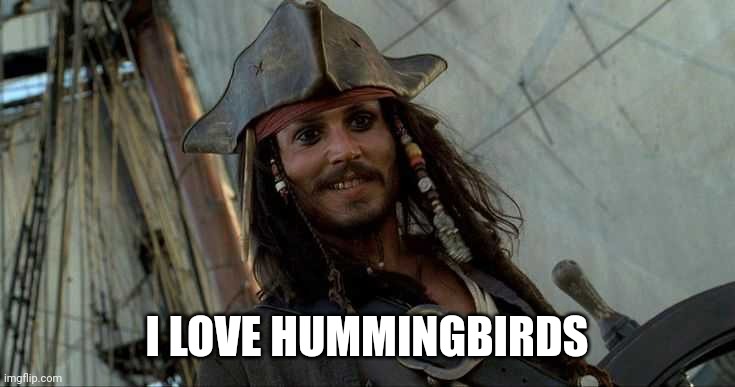 JACK OH I LIKE THAT | I LOVE HUMMINGBIRDS | image tagged in jack oh i like that | made w/ Imgflip meme maker