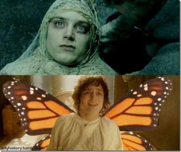 High Quality Frodo Caterpillar Butterfly Blank Meme Template
