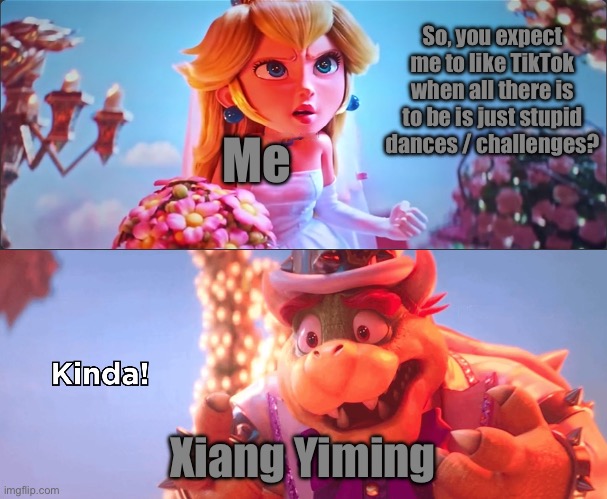 Kinda! | So, you expect me to like TikTok when all there is to be is just stupid dances / challenges? Me; Xiang Yiming | image tagged in kinda | made w/ Imgflip meme maker