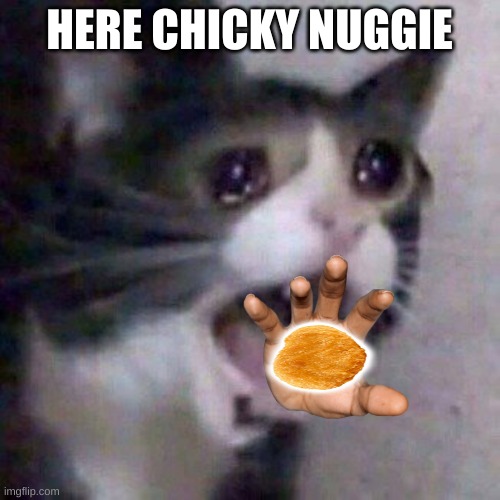 Screaming Cat meme | HERE CHICKY NUGGIE | image tagged in screaming cat meme | made w/ Imgflip meme maker