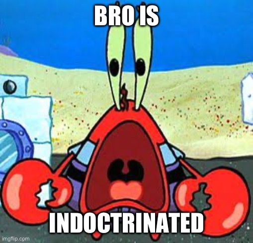 Mr. Krabs Wide Mouth | BRO IS INDOCTRINATED | image tagged in mr krabs wide mouth | made w/ Imgflip meme maker