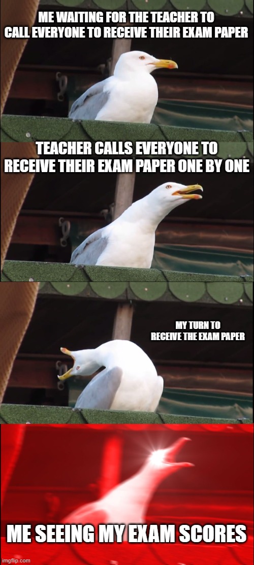 Receiving my exam paper be like: | ME WAITING FOR THE TEACHER TO CALL EVERYONE TO RECEIVE THEIR EXAM PAPER; TEACHER CALLS EVERYONE TO RECEIVE THEIR EXAM PAPER ONE BY ONE; MY TURN TO RECEIVE THE EXAM PAPER; ME SEEING MY EXAM SCORES | image tagged in memes,inhaling seagull | made w/ Imgflip meme maker